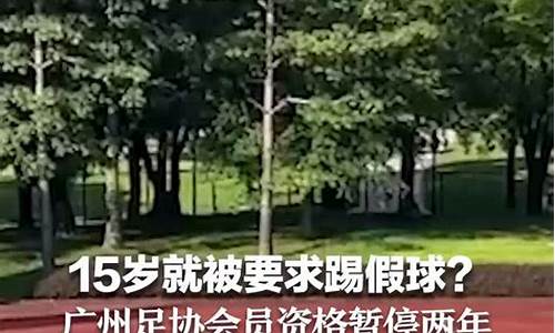 足球赛事结果通报批评_足球比赛纪律及处罚条例